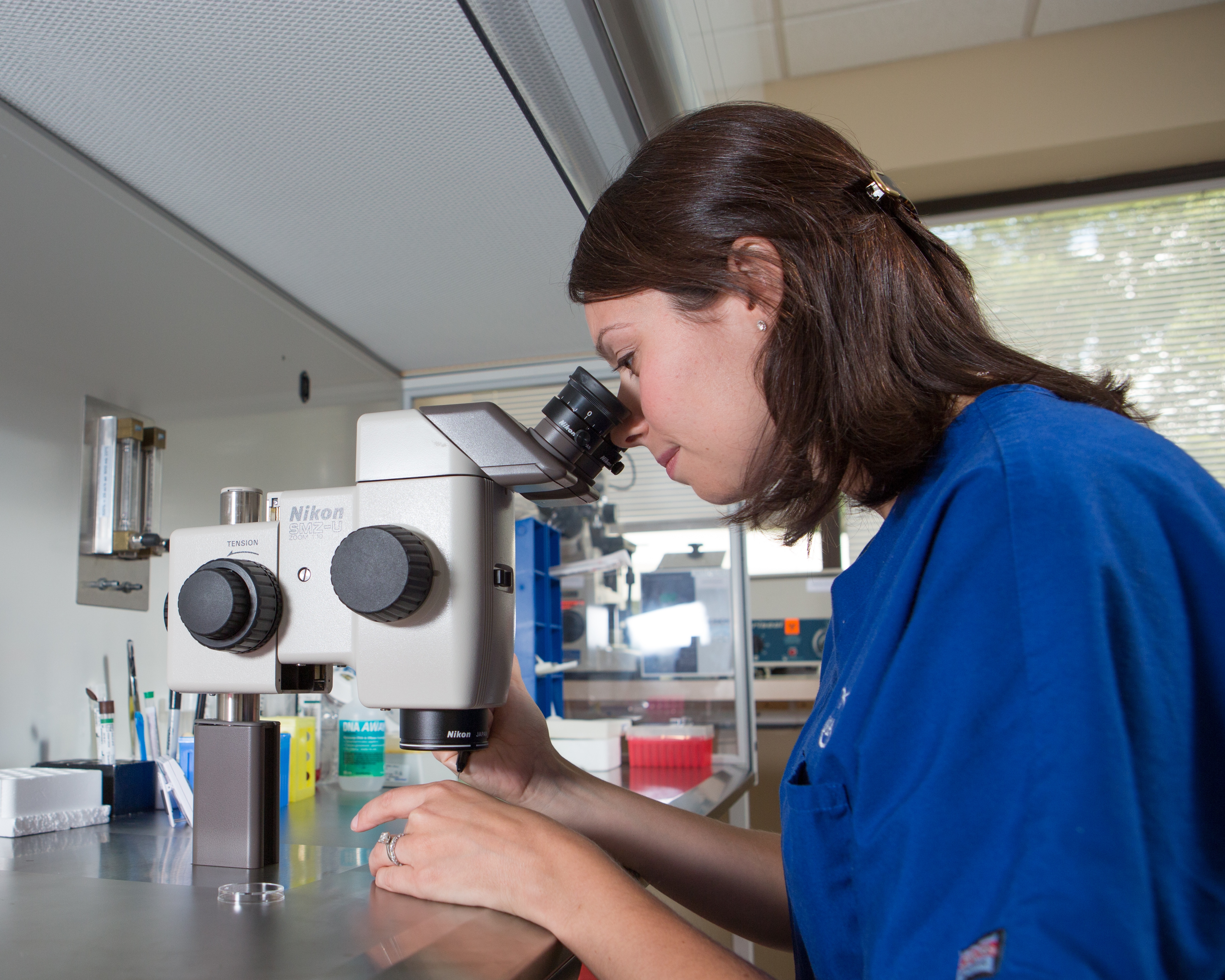 infertility research paper Infertility essaysinfertility is when you are unable to conceive save your essays here so you can locate all papers are for research and reference. infertility research paper Infertility essaysinfertility is when you are unable to conceive save your essays here so you can locate all papers are for research and reference.