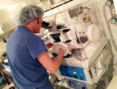 ... and Infertility Fellowship Program | REIFellowship » Embryology ... and Infertility Fellowship Program | REIFellowship » Embryology