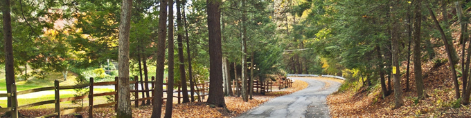 new_jersey_image1
